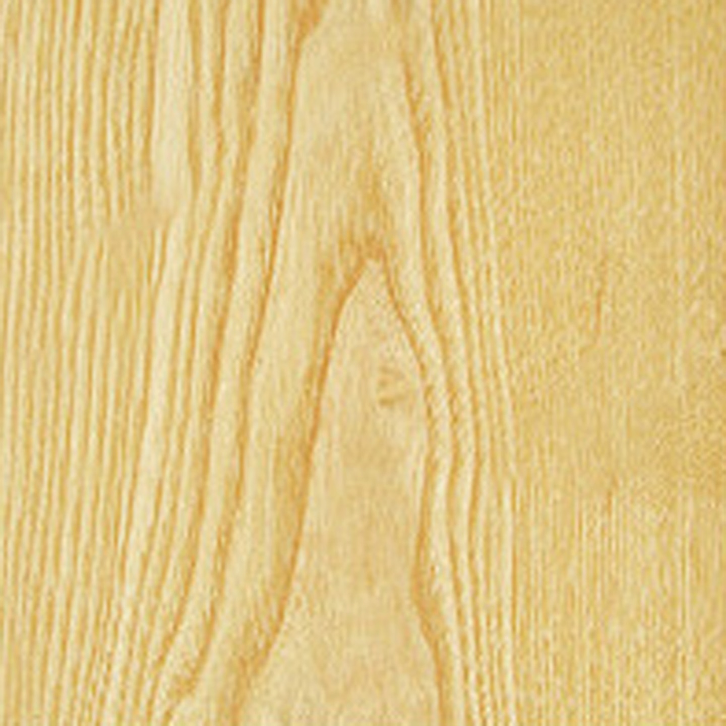 European Ash